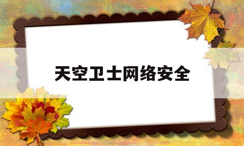 天空卫士网络安全(天空卫士网络安全 汪鲁涛)