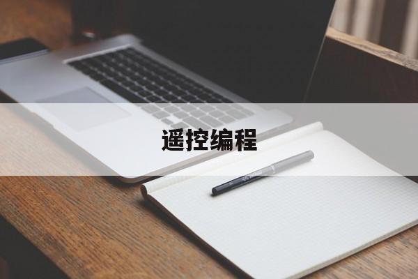 遥控编程(遥控编程马达套件有哪些)