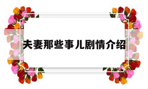夫妻那些事儿剧情介绍(夫妻那些事剧情分集介绍 电视剧)