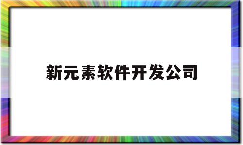 新元素软件开发公司(新元素 招聘)