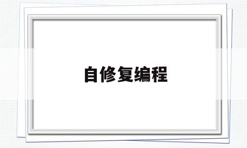 自修复编程(自动编程全套视频)