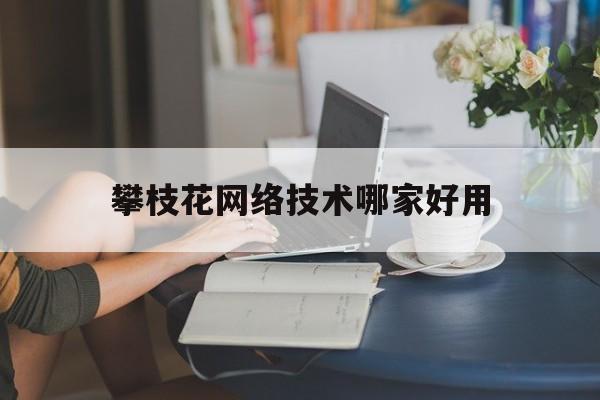 攀枝花网络技术哪家好用(攀枝花seo)