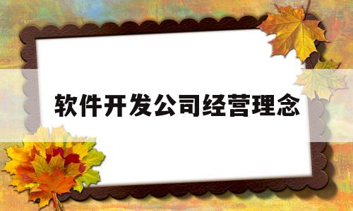 软件开发公司经营理念(软件公司的经营理念)