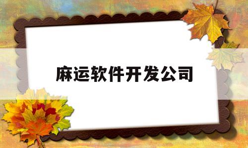 麻运软件开发公司(麻运软件开发公司招聘)
