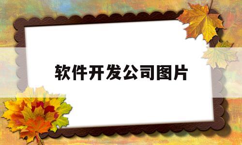 软件开发公司图片(软件开发公司照片)