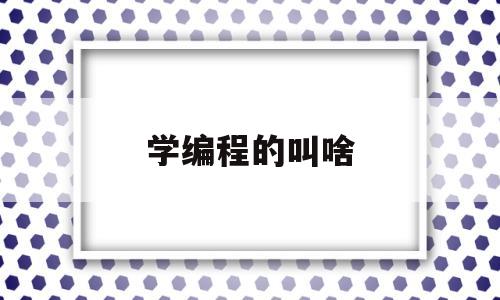 学编程的叫啥(学编程的叫啥名字)
