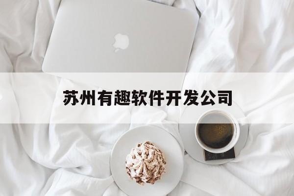 苏州有趣软件开发公司(苏州的软件)