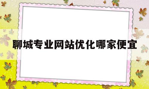 聊城专业网站优化哪家便宜(聊城官网发布平台)