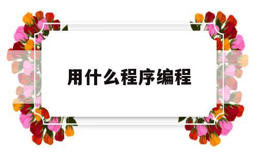 用什么程序编程(编程用哪个程序做)