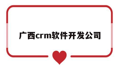 广西crm软件开发公司(广西网站开发软件)