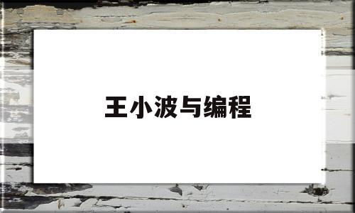 王小波与编程(王小波编程能力有多好)