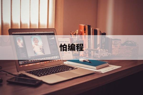 怕编程(啪遍全校百合系统笔趣阁)