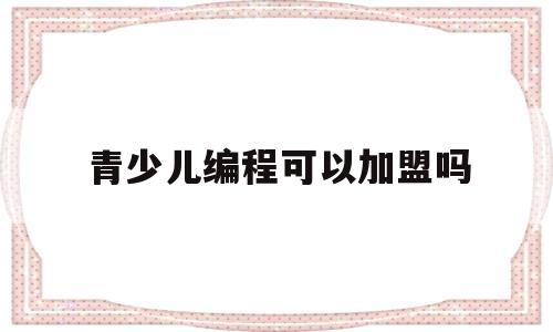 青少儿编程可以加盟吗(青少年编程培训机构加盟)