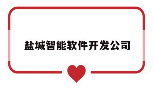 盐城智能软件开发公司(盐城智能软件开发公司招聘)