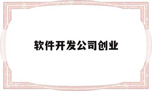 软件开发公司创业(软件开发创业项目)