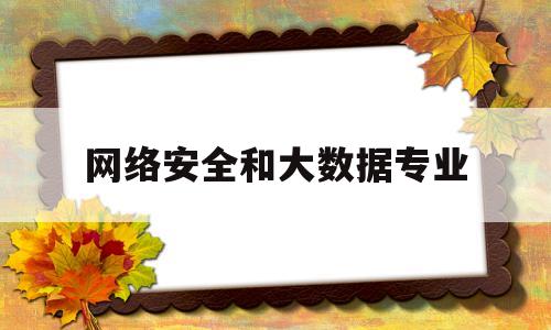 网络安全和大数据专业(网络安全和大数据专业哪个好)