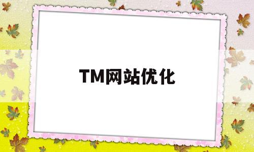 TM网站优化(网站优化联系)