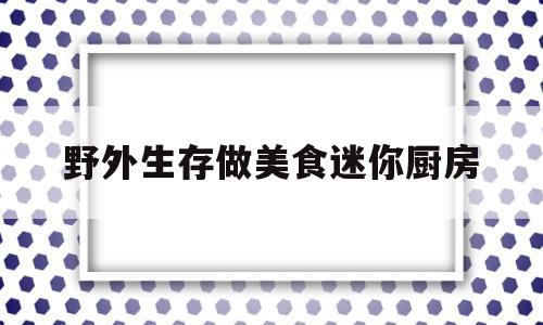 野外生存做美食迷你厨房(野外生存做吃的)