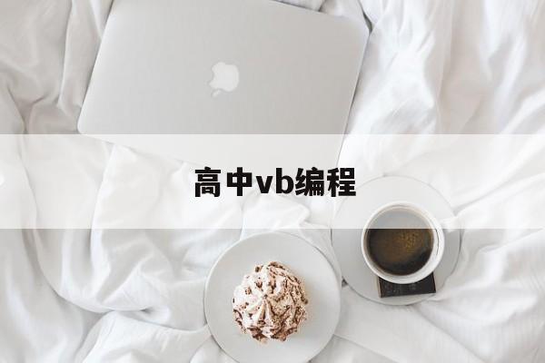 高中vb编程(高中vb编程题)