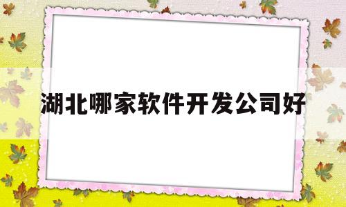 湖北哪家软件开发公司好(湖北学软件开发哪所大专好)