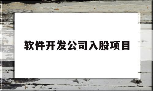 软件开发公司入股项目(软件技术入股)