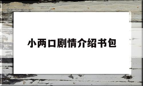小两口剧情介绍书包(电视剧小两口剧情介绍)