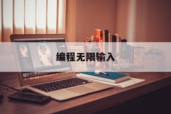 编程无限输入(编程无限输入怎么设置)