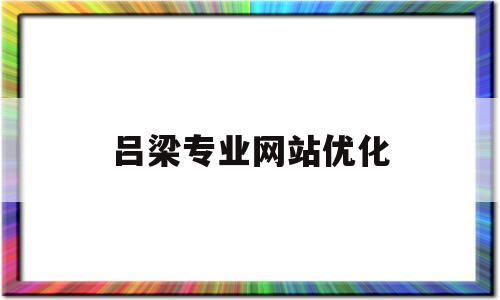 吕梁专业网站优化(吕梁在线官网)