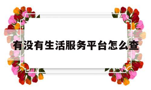 有没有生活服务平台怎么查(生活服务平台有哪几家)