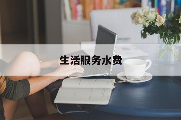 生活服务水费(生活服务水费开票上面生活服务怎么添加进去)