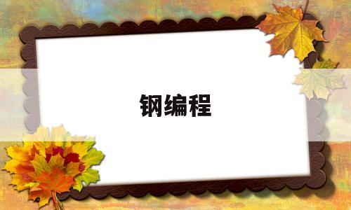 钢编程(钢编程格式)
