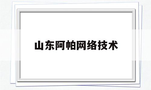 山东阿帕网络技术(山东阿帕集团)