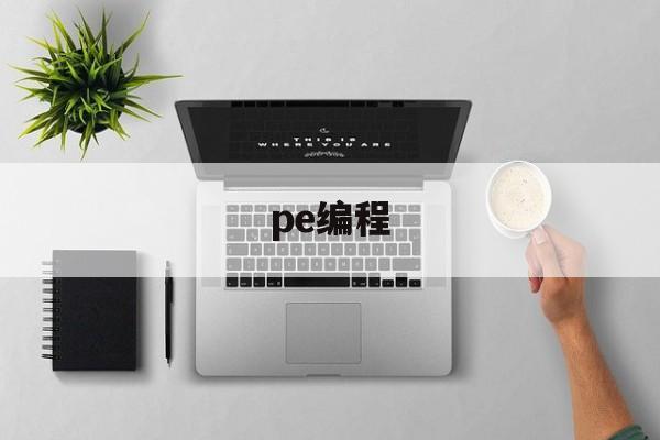 pe编程(pe编程是什么意思)