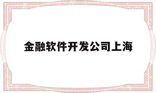 金融软件开发公司上海(金融行业的软件开发公司)