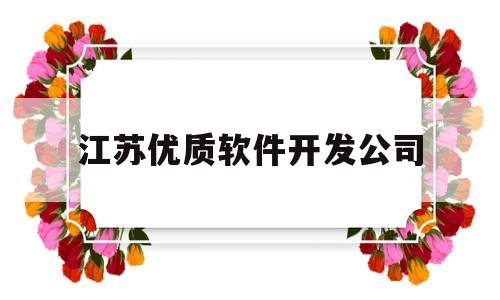江苏优质软件开发公司(江苏优质软件开发公司有哪些)