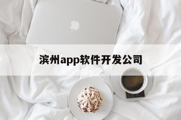 滨州app软件开发公司(滨州软件测评中心)