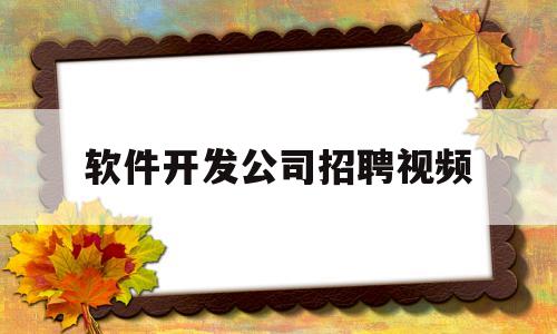 软件开发公司招聘视频(软件开发岗位招聘)