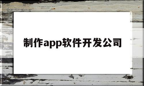 制作app软件开发公司(app软件制作公司哪家好)