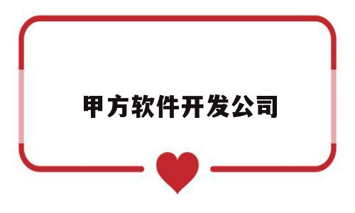 甲方软件开发公司(软件公司甲方是指哪类)