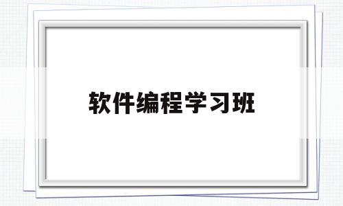 软件编程学习班(软件编程培训班多少钱)