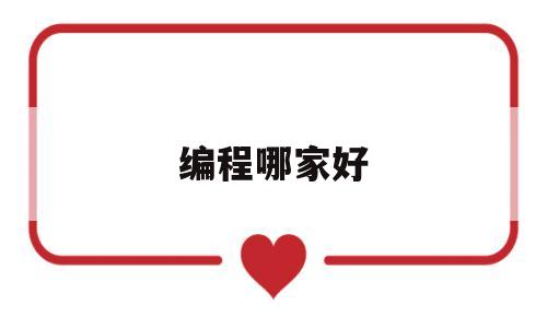 编程哪家好(线上编程哪家好)