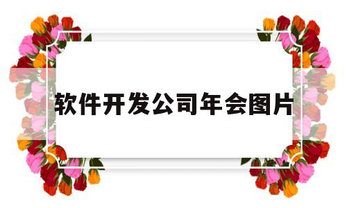 软件开发公司年会图片(软件开发汇报ppt)