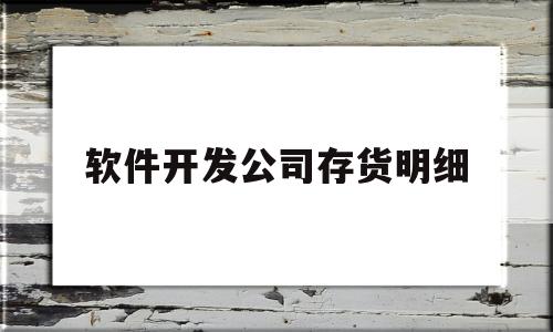 软件开发公司存货明细(软件开发公司存货明细怎么写)