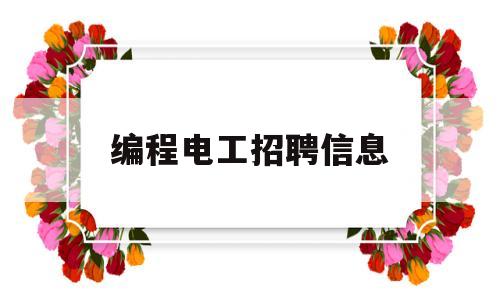 编程电工招聘信息(编程电工招聘信息怎么写)