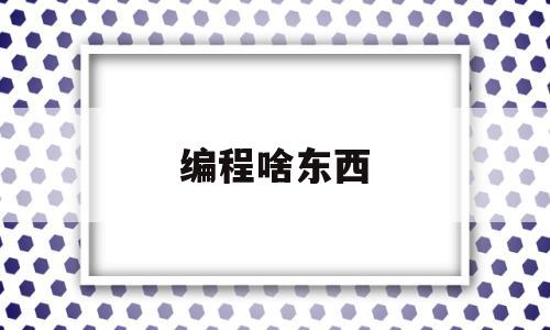 编程啥东西(编程都是什么)